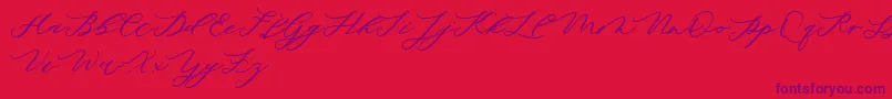 minimalist demo-Schriftart – Violette Schriften auf rotem Hintergrund