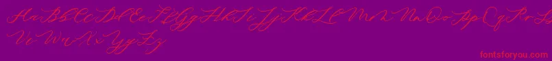 minimalist demo Font – Red Fonts on Purple Background