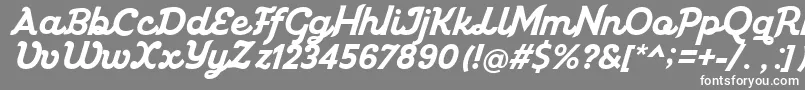 フォントMiniolla – 灰色の背景に白い文字