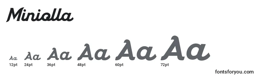 Miniolla (134408) Font Sizes