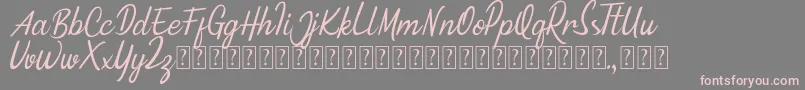 Minnie Queen Font Font – Pink Fonts on Gray Background