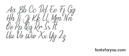 Minnie Queen Font フォントのレビュー