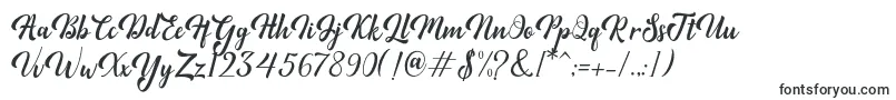 Minthas Font – Fonts for Adobe Muse