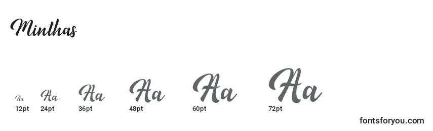 Minthas (134423) Font Sizes