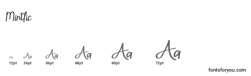 Mintlic Font Sizes