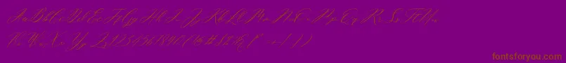 Miolleta Demo-Schriftart – Braune Schriften auf violettem Hintergrund