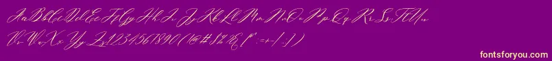 Miolleta Demo-Schriftart – Gelbe Schriften auf violettem Hintergrund