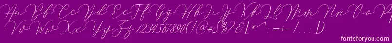 Mirrabella Font – Pink Fonts on Purple Background