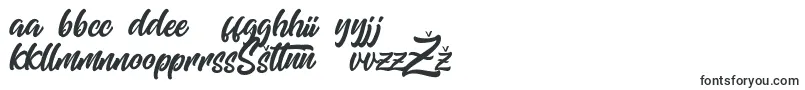 Weitere Informationen zur Mishaland-Schriftart Mishaland-Schriftart – litauische Schriften