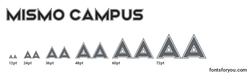 Размеры шрифта Mismo Campus
