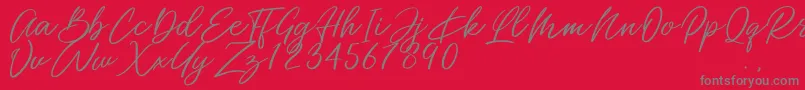 Miss Catlyne Font – Gray Fonts on Red Background