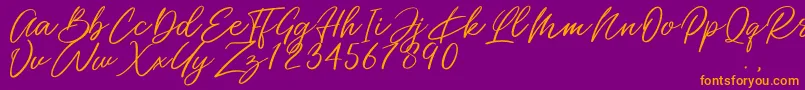 Miss Catlyne Font – Orange Fonts on Purple Background