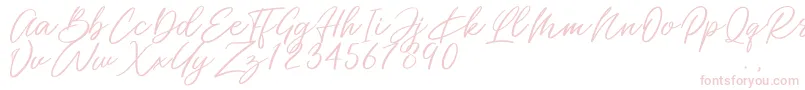 Miss Catlyne Font – Pink Fonts on White Background