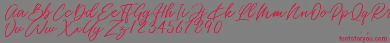 Miss Catlyne Font – Red Fonts on Gray Background