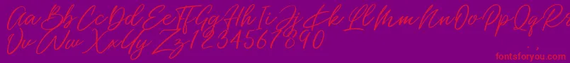 Miss Catlyne Font – Red Fonts on Purple Background