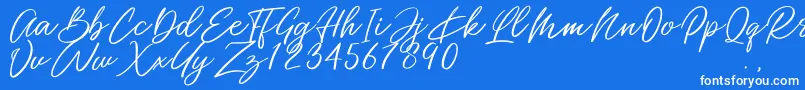 Miss Catlyne Font – White Fonts on Blue Background
