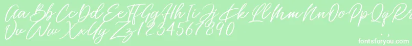 Miss Catlyne Font – White Fonts on Green Background