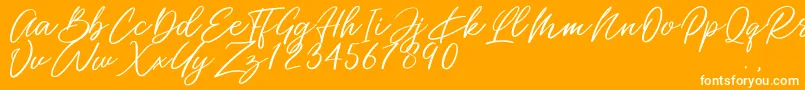 Miss Catlyne Font – White Fonts on Orange Background