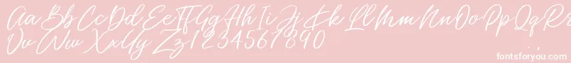 Miss Catlyne Font – White Fonts on Pink Background