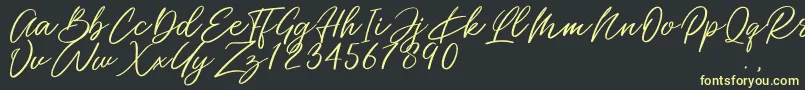 Miss Catlyne Font – Yellow Fonts on Black Background