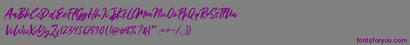 Miss Rhinetta Font – Purple Fonts on Gray Background