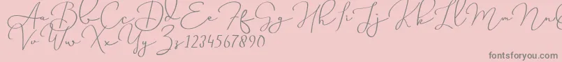 Miss Waited Font – Gray Fonts on Pink Background
