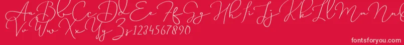 Miss Waited-Schriftart – Rosa Schriften auf rotem Hintergrund