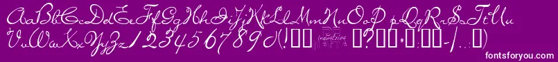 miss-Schriftart – Weiße Schriften auf violettem Hintergrund