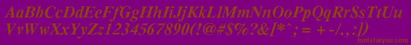 PcTennesseeBolditalic Font – Brown Fonts on Purple Background