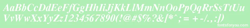 PcTennesseeBolditalic Font – White Fonts on Green Background