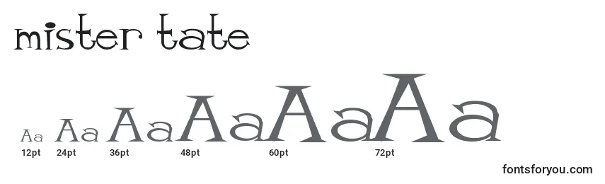 Mister tate Font Sizes