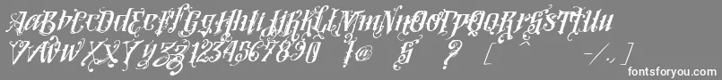 VtksLoversItalic-Schriftart – Weiße Schriften auf grauem Hintergrund