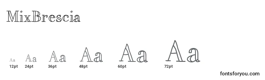 MixBrescia Font Sizes