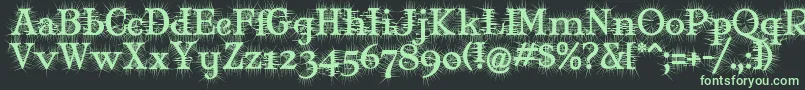 MJDEG    Font – Green Fonts on Black Background