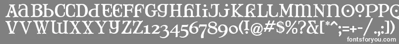 MJTANK   Font – White Fonts on Gray Background