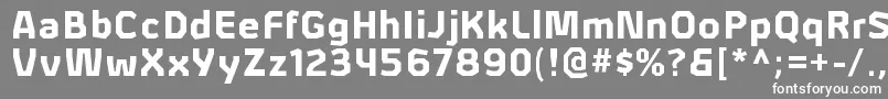 フォントAlphiiblRegular – 灰色の背景に白い文字