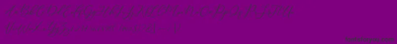 Modennta Font – Black Fonts on Purple Background