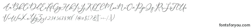 Czcionka Modennta – pisma ręczne