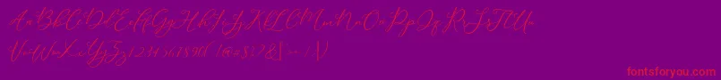 Modennta-Schriftart – Rote Schriften auf violettem Hintergrund