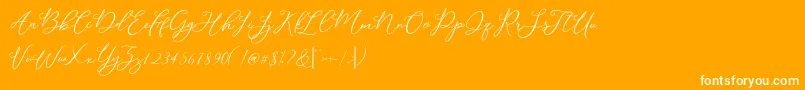 Modennta Font – White Fonts on Orange Background