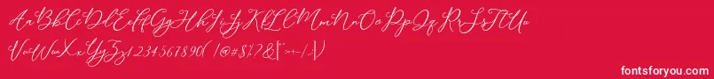 Modennta Font – White Fonts on Red Background