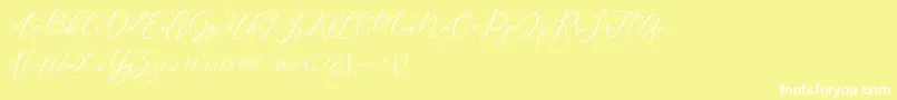 Modennta Font – White Fonts on Yellow Background