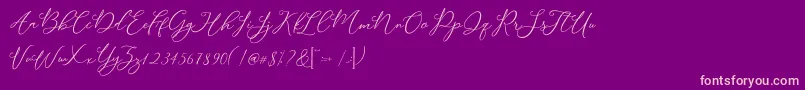 Modennta Font – Pink Fonts on Purple Background