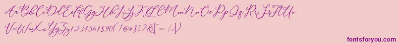 Modennta-Schriftart – Violette Schriften auf rosa Hintergrund