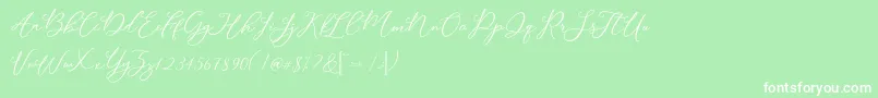 Modennta Font – White Fonts on Green Background