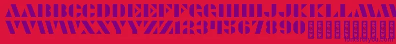 Modernia Regular Font – Purple Fonts on Red Background