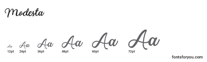 Modesta Font Sizes