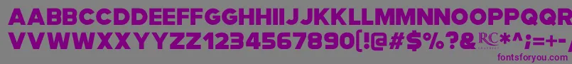 フォントModia NonCommercial – 紫色のフォント、灰色の背景