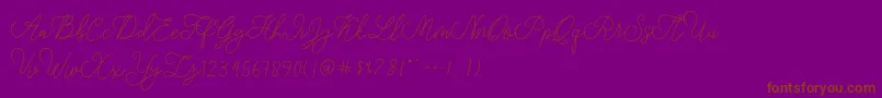 modista script Font – Brown Fonts on Purple Background