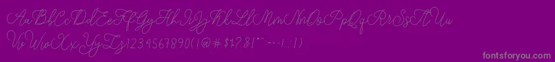 modista script Font – Gray Fonts on Purple Background